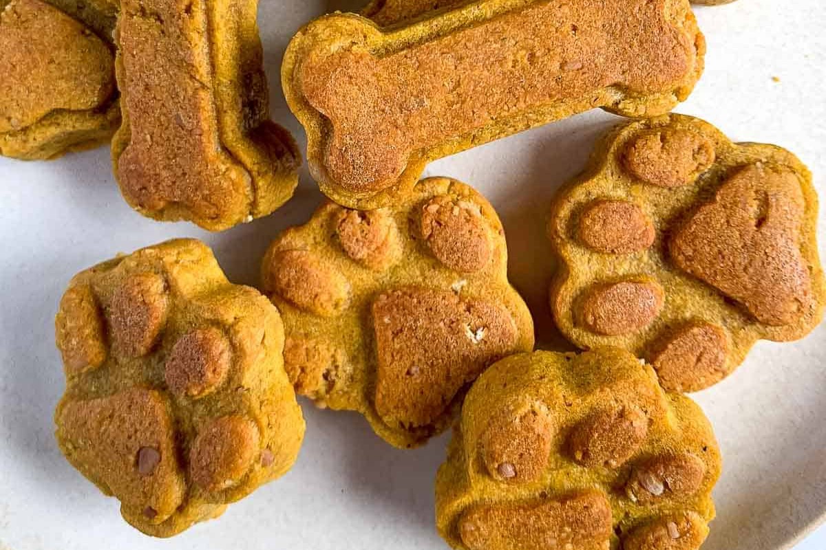 peanut-butter-and-pumpkin-dog-treats-recipe