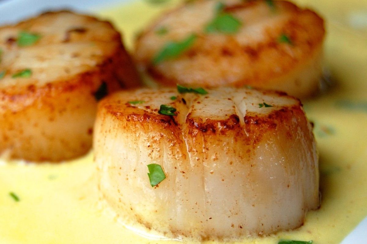 seared-scallops-recipe